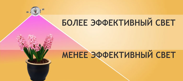 Угол рассеивания лампы для рассады Угол рассеивания лампы для рассады