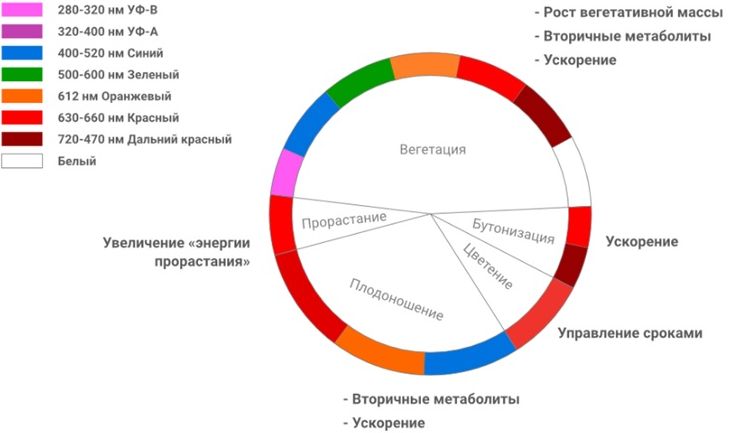 Спектр излучения фито светильников