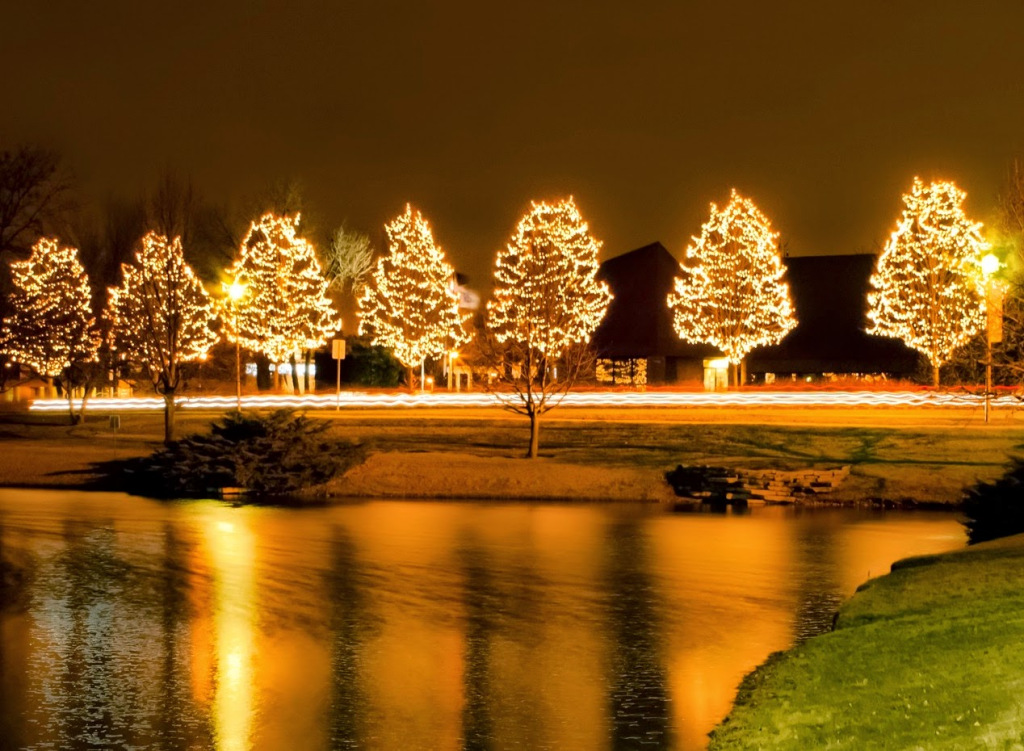 Светодиодная гирлянда Клип-лайт Светодиодная гирлянда Клип-лайт