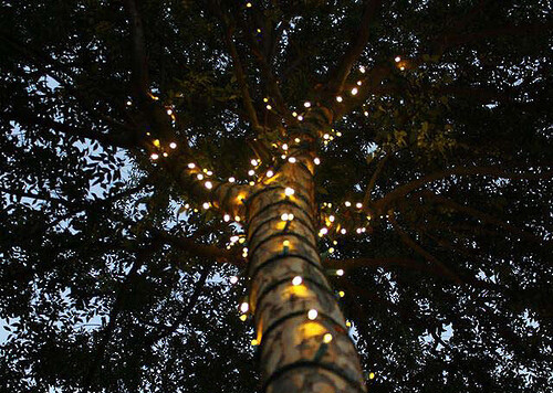 Гирлянда для деревьев
