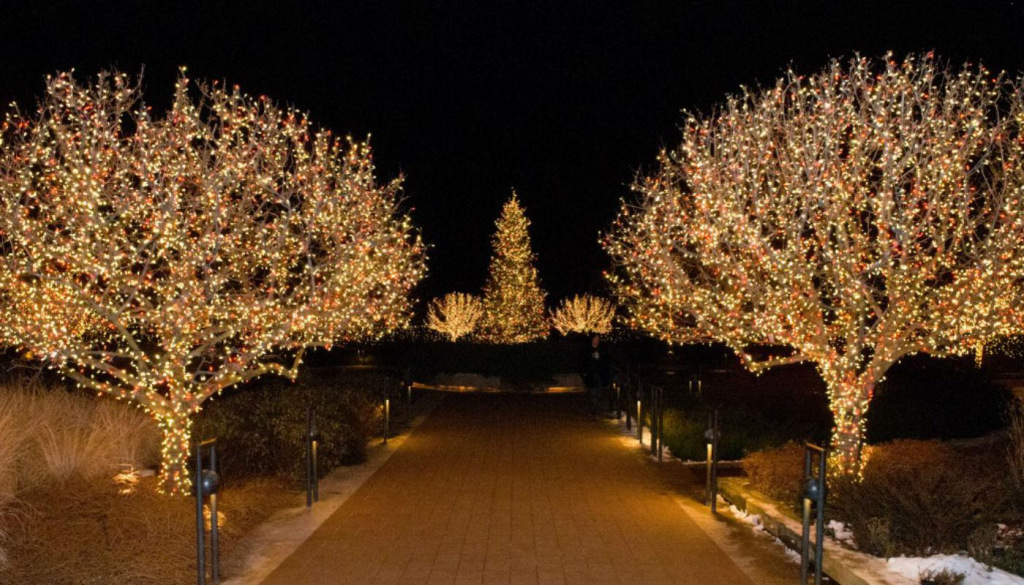 Подсветка деревьев