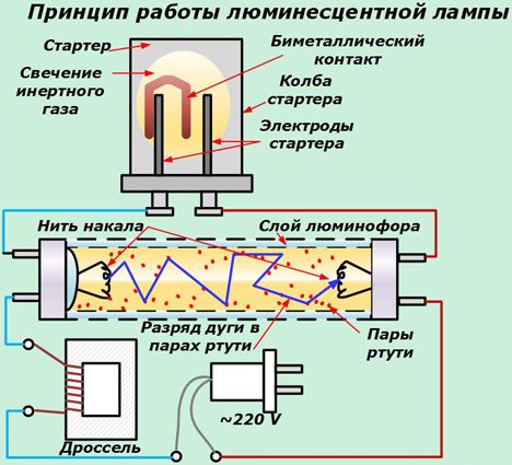 Как работает люминесцентная лампа.jpg