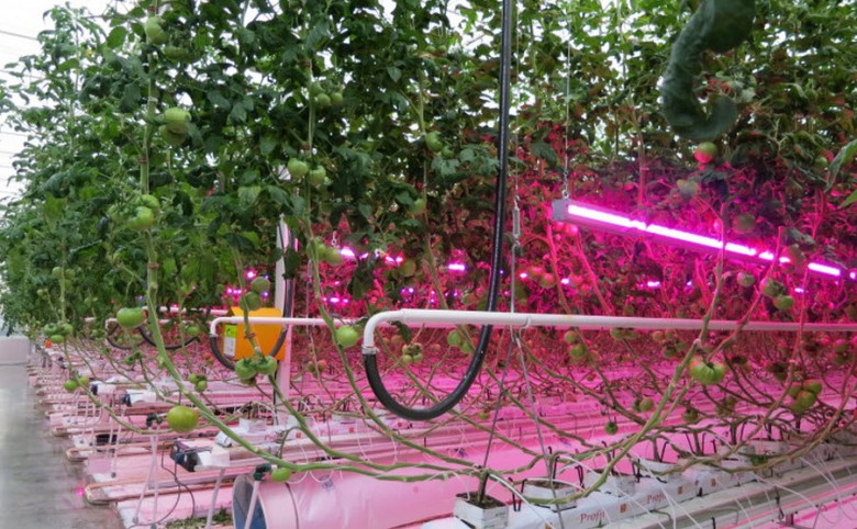 Агро светильники