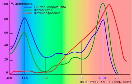 Спектр излучения фитоламп Спектр излучения фитоламп