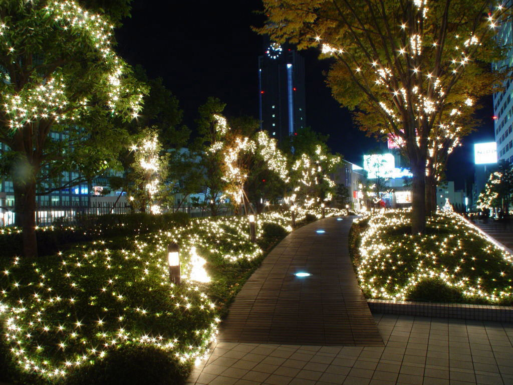 Светодиодные гирлянды для подсветки парка Светодиодные гирлянды для подсветки парка