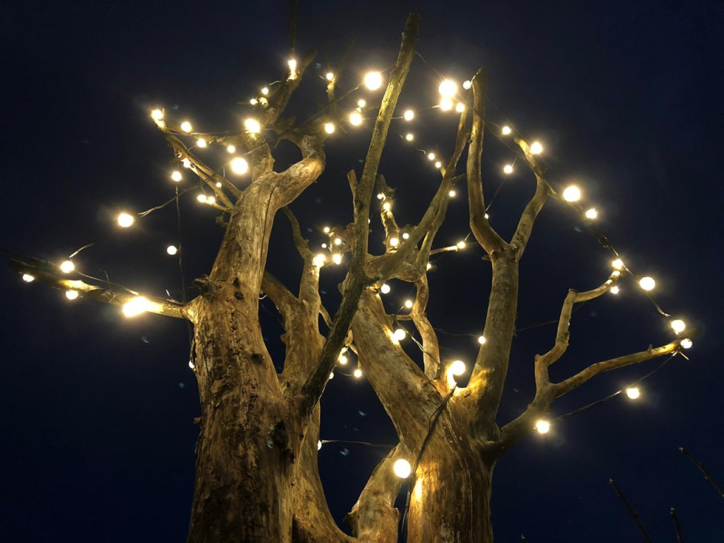 Белт-лайт для дерева.jpg