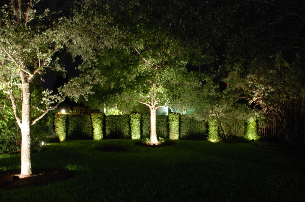 Подсветка деревьев