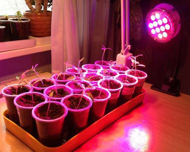 Светодиодная лампа для рассады Светодиодная лампа для рассады