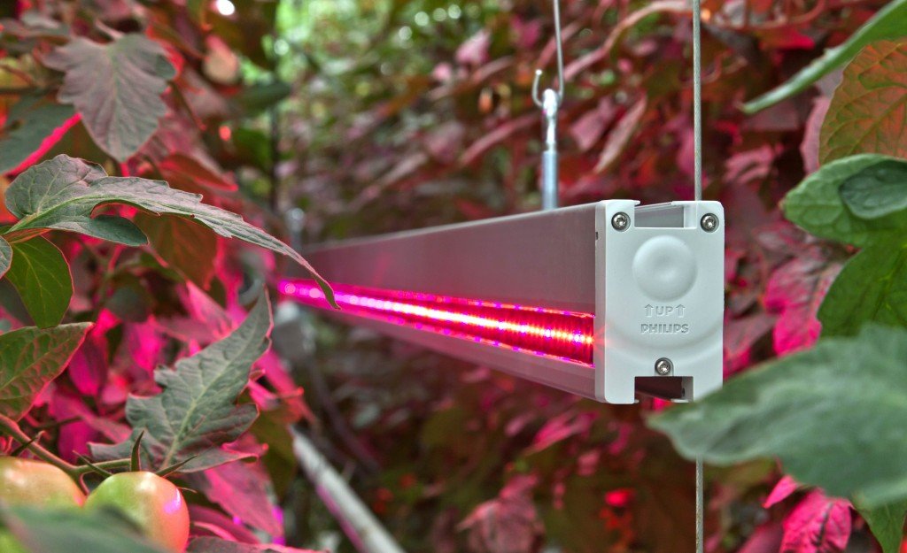 Линейные светильники для растений