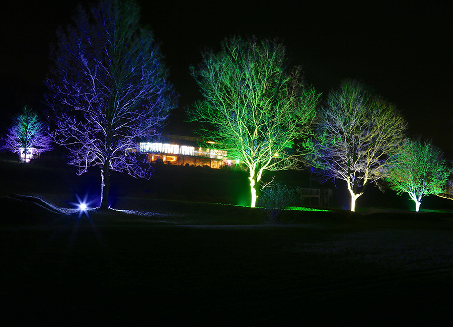 Подсветка деревьев