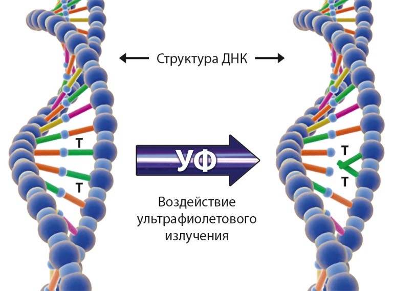 Ультрафиолет против COVID Ультрафиолет против COVID