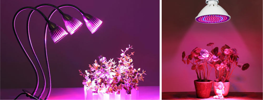 Светодиодные фитолампы Светодиодные фитолампы