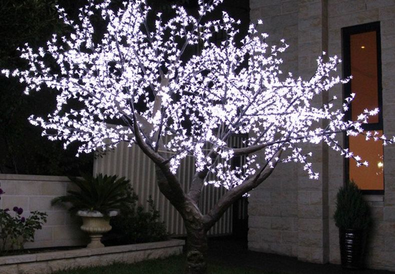 Светящееся дерево на даче Светящееся дерево на даче