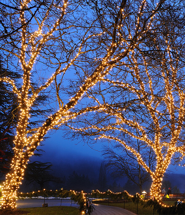 Светодиодная гирлянда Клип-лайт Светодиодная гирлянда Клип-лайт