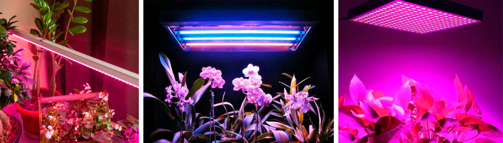 Линейные и квадратные светильники для растений