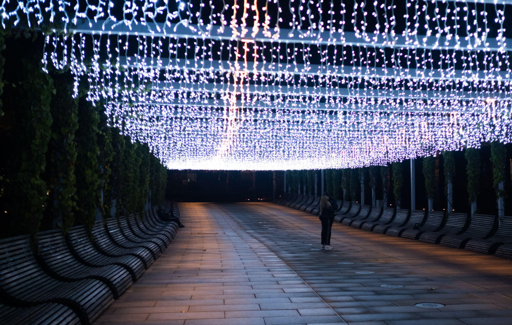 Светодиодная гирлянда для аллеи Светодиодная гирлянда для аллеи