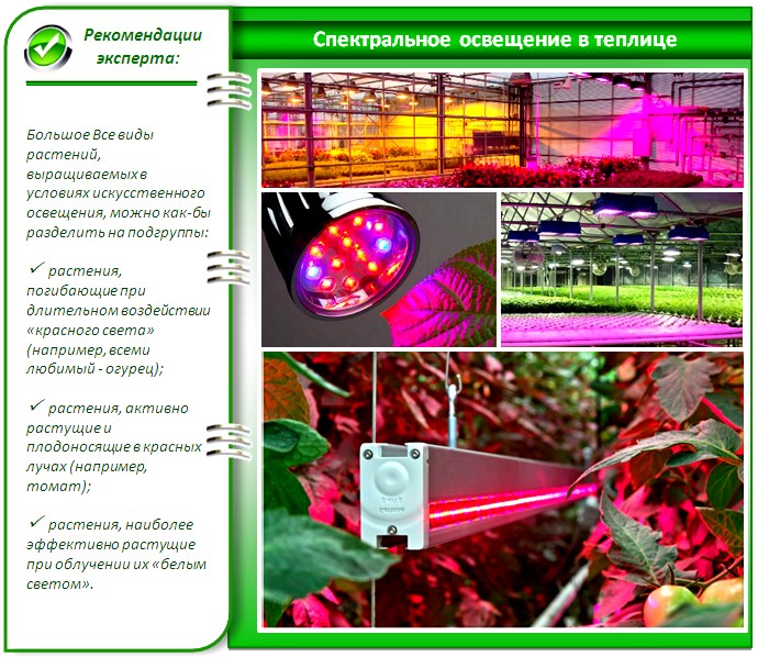 LED освещение для теплиц