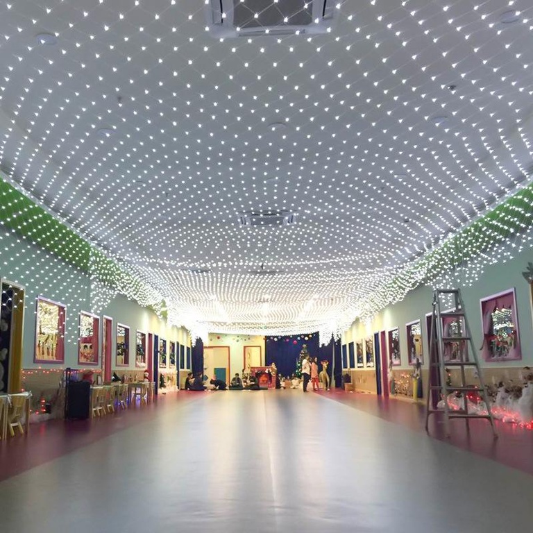 Светодиодная Сетка для украшения потолка