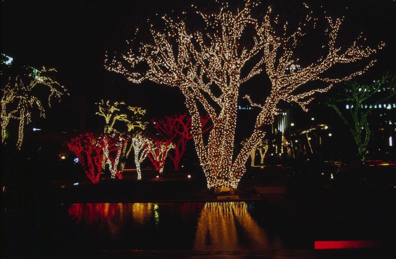 Гирлянда Клип-лайт Гирлянда Клип-лайт