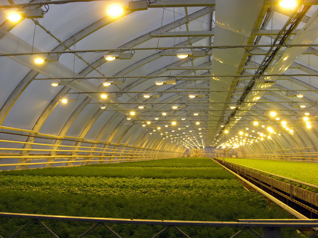 Светильники для роста растений