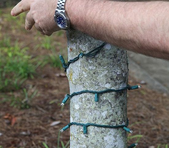 Монтаж гирлянды спайдер