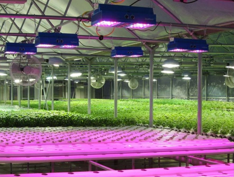 Модульные светильники для роста растений