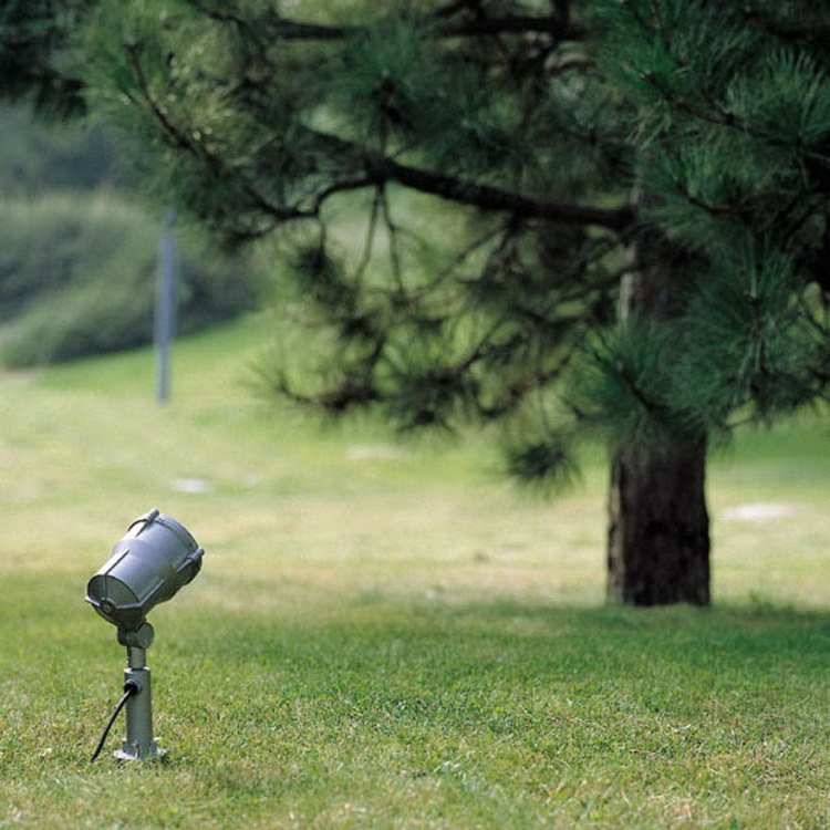 Подсветка дерева прожектором