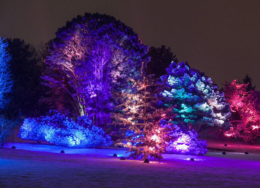 Светодиодная подсветка деревьев