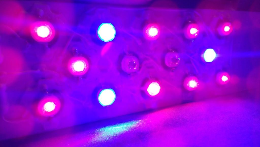 Фито светодиоды