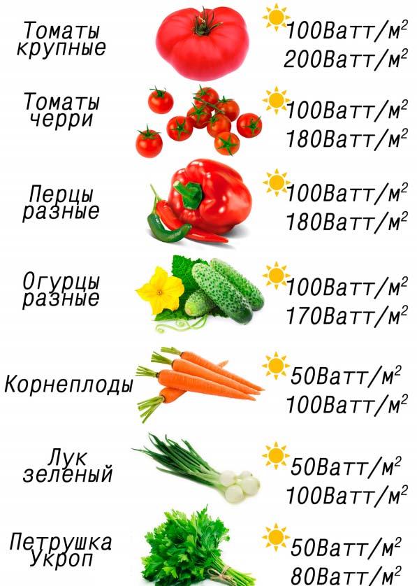 Мощность освещения для выращивания рассады Мощность освещения для выращивания рассады
